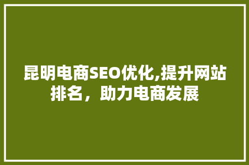 昆明电商SEO优化,提升网站排名，助力电商发展
