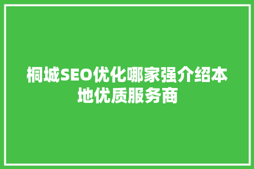 桐城SEO优化哪家强介绍本地优质服务商