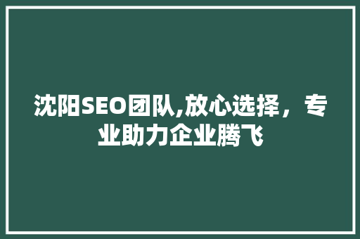 沈阳SEO团队,放心选择，专业助力企业腾飞