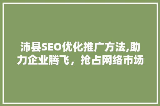 沛县SEO优化推广方法,助力企业腾飞，抢占网络市场制高点