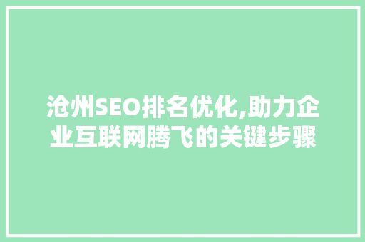 沧州SEO排名优化,助力企业互联网腾飞的关键步骤