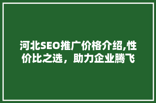 河北SEO推广价格介绍,性价比之选，助力企业腾飞