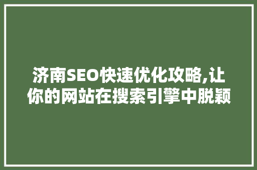 济南SEO快速优化攻略,让你的网站在搜索引擎中脱颖而出