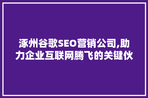 涿州谷歌SEO营销公司,助力企业互联网腾飞的关键伙伴