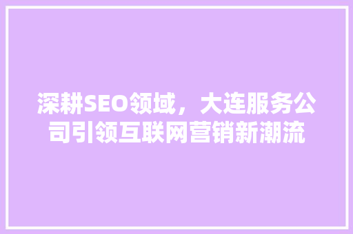 深耕SEO领域，大连服务公司引领互联网营销新潮流