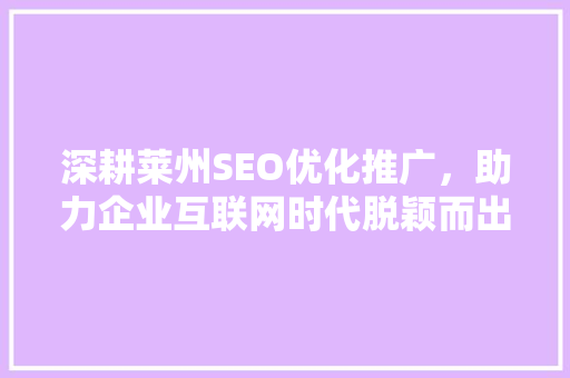 深耕莱州SEO优化推广，助力企业互联网时代脱颖而出