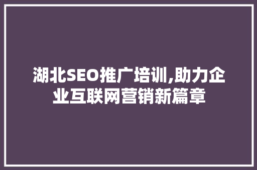湖北SEO推广培训,助力企业互联网营销新篇章