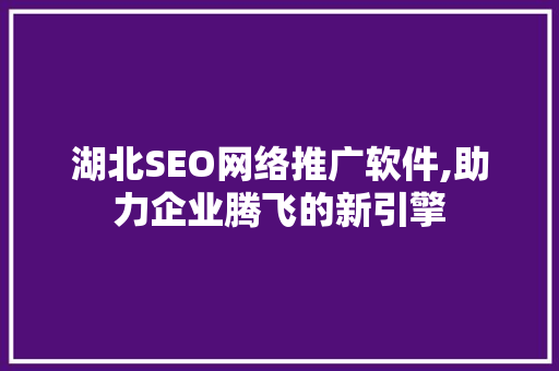 湖北SEO网络推广软件,助力企业腾飞的新引擎