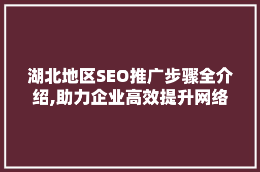 湖北地区SEO推广步骤全介绍,助力企业高效提升网络曝光度