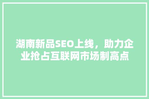 湖南新品SEO上线，助力企业抢占互联网市场制高点