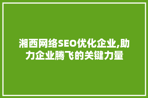 湘西网络SEO优化企业,助力企业腾飞的关键力量