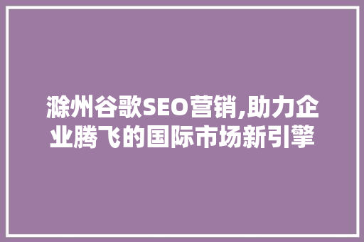 滁州谷歌SEO营销,助力企业腾飞的国际市场新引擎