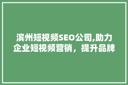 滨州短视频SEO公司,助力企业短视频营销，提升品牌影响力