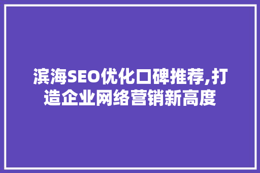 滨海SEO优化口碑推荐,打造企业网络营销新高度