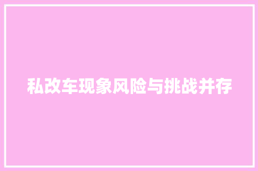 私改车现象风险与挑战并存
