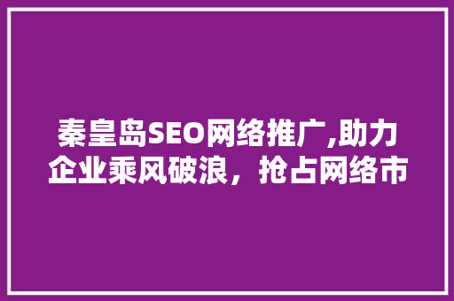 秦皇岛SEO网络推广,助力企业乘风破浪，抢占网络市场先机