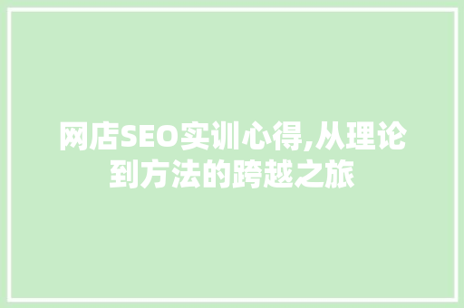 网店SEO实训心得,从理论到方法的跨越之旅