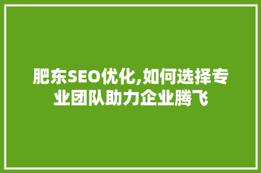 肥东SEO优化,如何选择专业团队助力企业腾飞