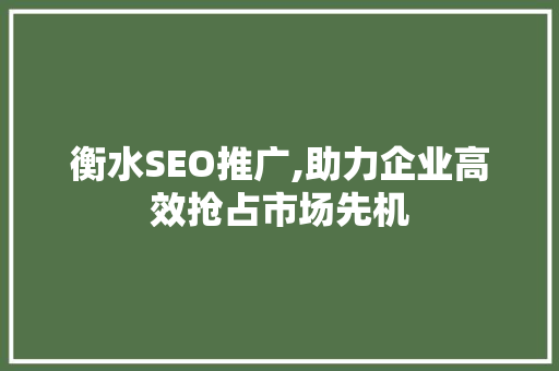 衡水SEO推广,助力企业高效抢占市场先机