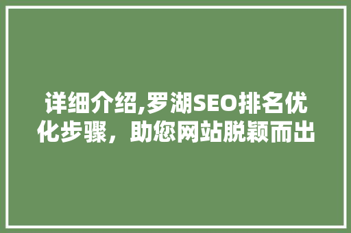 详细介绍,罗湖SEO排名优化步骤，助您网站脱颖而出
