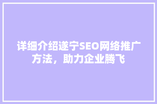 详细介绍遂宁SEO网络推广方法，助力企业腾飞