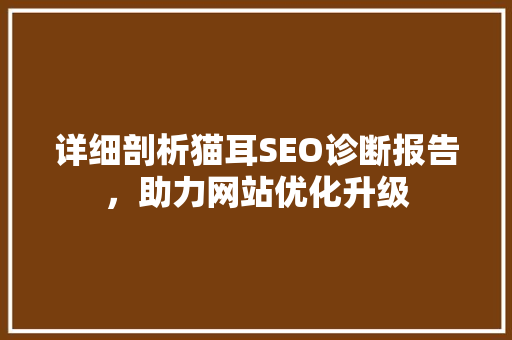 详细剖析猫耳SEO诊断报告，助力网站优化升级