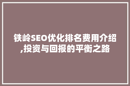 铁岭SEO优化排名费用介绍,投资与回报的平衡之路