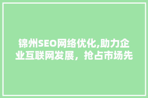 锦州SEO网络优化,助力企业互联网发展，抢占市场先机