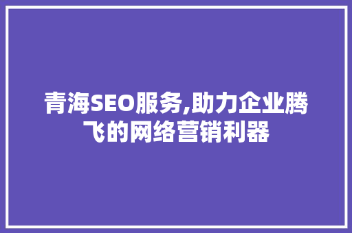 青海SEO服务,助力企业腾飞的网络营销利器