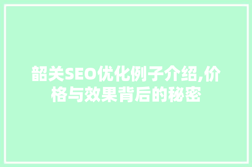 韶关SEO优化例子介绍,价格与效果背后的秘密