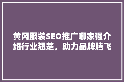 黄冈服装SEO推广哪家强介绍行业翘楚，助力品牌腾飞  第1张