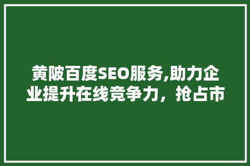 黄陂百度SEO服务,助力企业提升在线竞争力，抢占市场份额