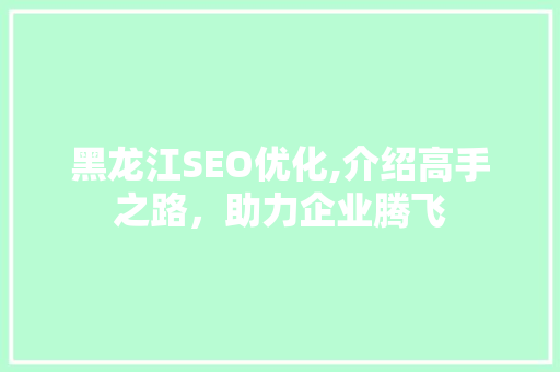 黑龙江SEO优化,介绍高手之路，助力企业腾飞
