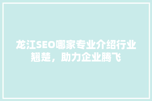 龙江SEO哪家专业介绍行业翘楚，助力企业腾飞