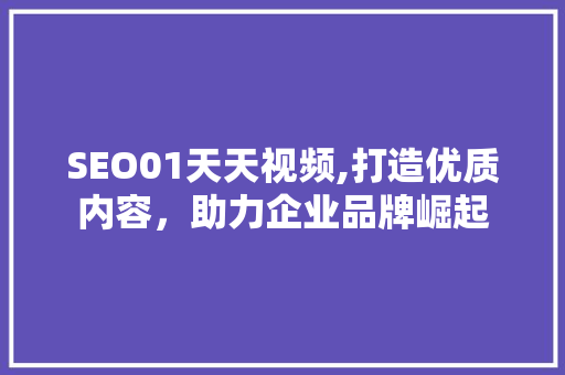 SEO01天天视频,打造优质内容，助力企业品牌崛起