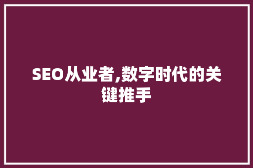 SEO从业者,数字时代的关键推手