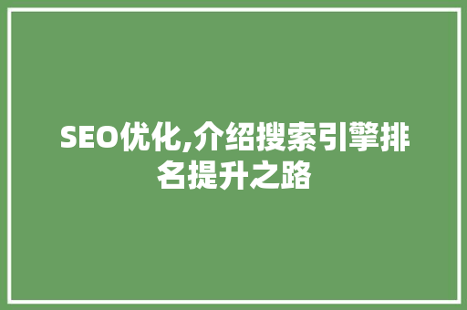 SEO优化,介绍搜索引擎排名提升之路
