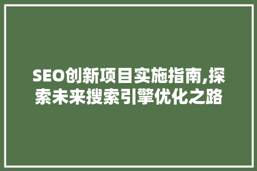SEO创新项目实施指南,探索未来搜索引擎优化之路