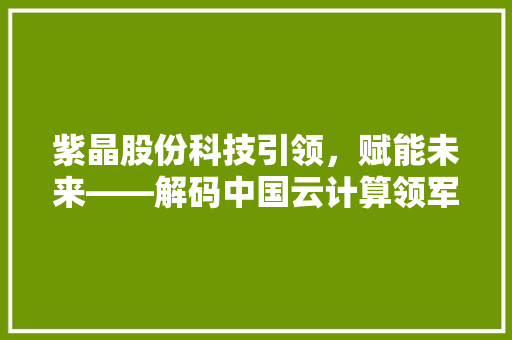 紫晶股份科技引领，赋能未来——解码中国云计算领军企业