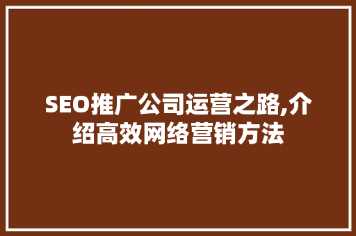 SEO推广公司运营之路,介绍高效网络营销方法