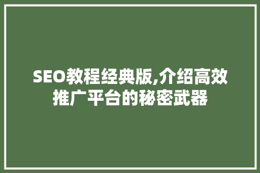 SEO教程经典版,介绍高效推广平台的秘密武器