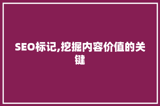 SEO标记,挖掘内容价值的关键