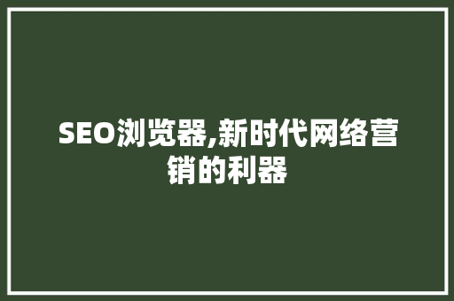 SEO浏览器,新时代网络营销的利器