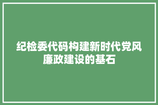纪检委代码构建新时代党风廉政建设的基石