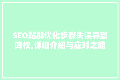 SEO站群优化步骤失误导致降权,详细介绍与应对之路