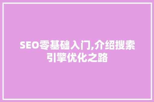 SEO零基础入门,介绍搜索引擎优化之路