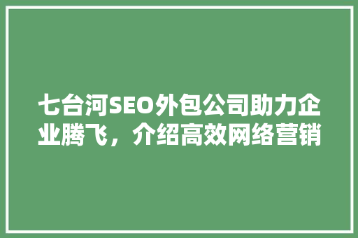 七台河SEO外包公司助力企业腾飞，介绍高效网络营销之路