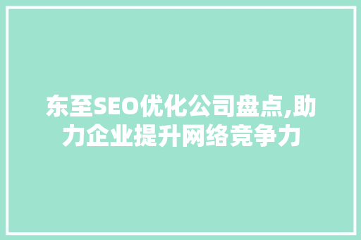 东至SEO优化公司盘点,助力企业提升网络竞争力