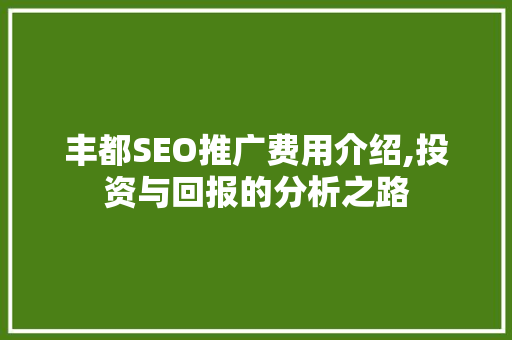 丰都SEO推广费用介绍,投资与回报的分析之路
