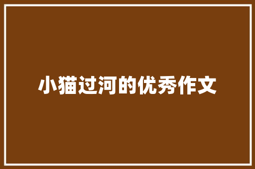 介绍SEO公司排名营销网址,如何打造高效网络营销步骤